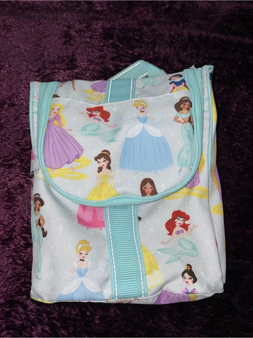 Disney Princess Pottery Barn Hanging Toiletry Bag